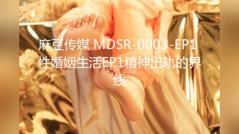 麻豆传媒 MDSR-0003-EP1 性婚姻生活EP1精神出轨的界线