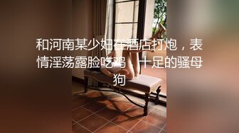 和河南某少妇在酒店打炮，表情淫荡露脸吃鸡，十足的骚母狗