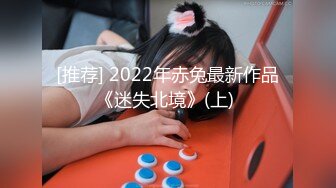 [推荐] 2022年赤兔最新作品《迷失北境》(上) 