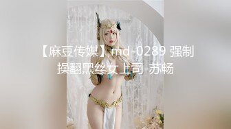 【麻豆传媒】md-0289 强制操翻黑丝女上司-苏畅