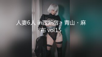 人妻6人 in西新宿・青山・麻布 vol15