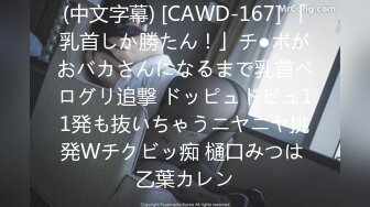 (中文字幕) [CAWD-167] 「乳首しか勝たん！」チ●ポがおバカさんになるまで乳首ペログリ追撃 ドッピュドピュ11発も抜いちゃうニヤニヤ挑発Wチクビッ痴 樋口みつは 乙葉カレン