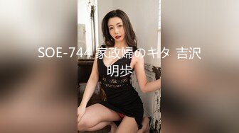 SOE-744 家政婦のキタ 吉沢明歩