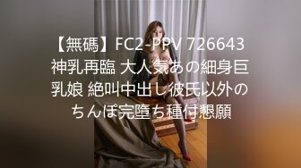 91国产C仔系列之高跟黑丝OL女职员