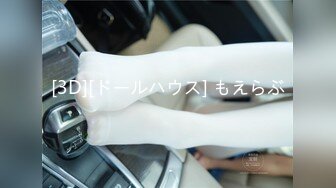 [3D][ドールハウス] もえらぶ