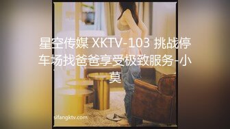 星空传媒 XKTV-103 挑战停车场找爸爸享受极致服务-小莫