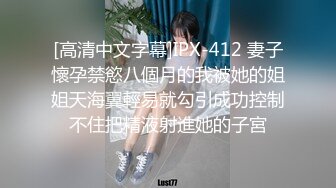 [高清中文字幕]IPX-412 妻子懷孕禁慾八個月的我被她的姐姐天海翼輕易就勾引成功控制不住把精液射進她的子宮