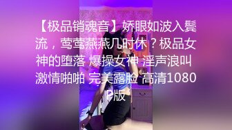 【极品销魂音】娇眼如波入鬓流，莺莺燕燕几时休？极品女神的堕落 爆操女神 淫声浪叫 激情啪啪 完美露脸 高清1080P版