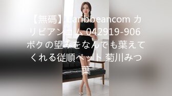 【無碼】Caribbeancom カリビアンコム 042919-906 ボクの望みをなんでも葉えてくれる従順ペット 菊川みつ葉