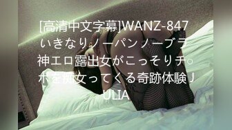 [高清中文字幕]WANZ-847 いきなりノーパンノーブラ 神エロ露出女がこっそりチ○ポを痴女ってくる奇跡体験 JULIA