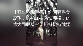 【开车别玩手机】约两骚熟女双飞，吃药加持激情爆操，肉感大屁股骑坐，打桩机持续猛操