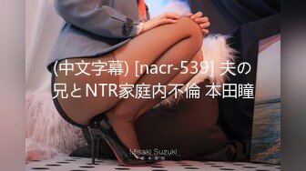 (中文字幕) [nacr-539] 夫の兄とNTR家庭内不倫 本田瞳