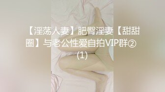 【淫荡人妻】肥臀淫妻【甜甜圈】与老公性爱自拍VIP群② (1)