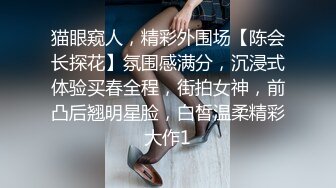 猫眼窥人，精彩外围场【陈会长探花】氛围感满分，沉浸式体验买春全程，街拍女神，前凸后翘明星脸，白皙温柔精彩大作1