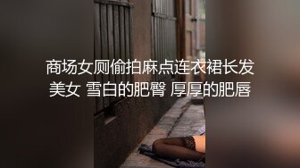 商场女厕偷拍麻点连衣裙长发美女 雪白的肥臀 厚厚的肥唇