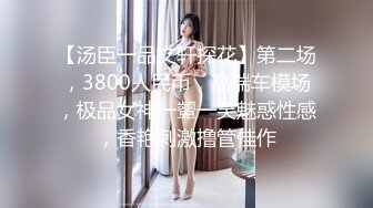 【汤臣一品文轩探花】第二场，3800人民币，高端车模场，极品女神一颦一笑魅惑性感，香艳刺激撸管佳作