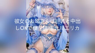 彼女のお姉さんは巨乳と中出しOKで僕を誘惑 北川エリカ